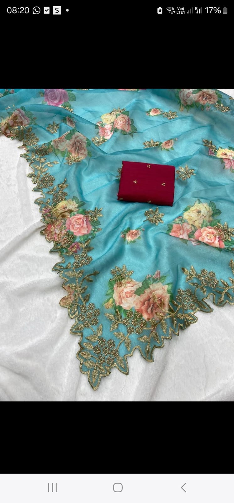 Organza silk saree with embroidered cut work border