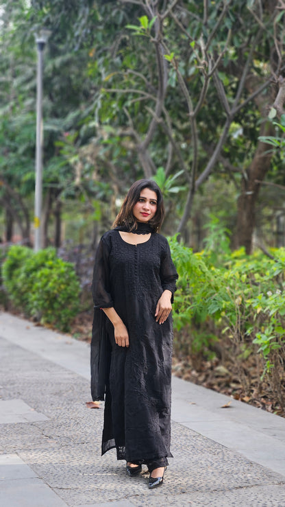 Roman silk Jequard Zari weaving suits - BLACK