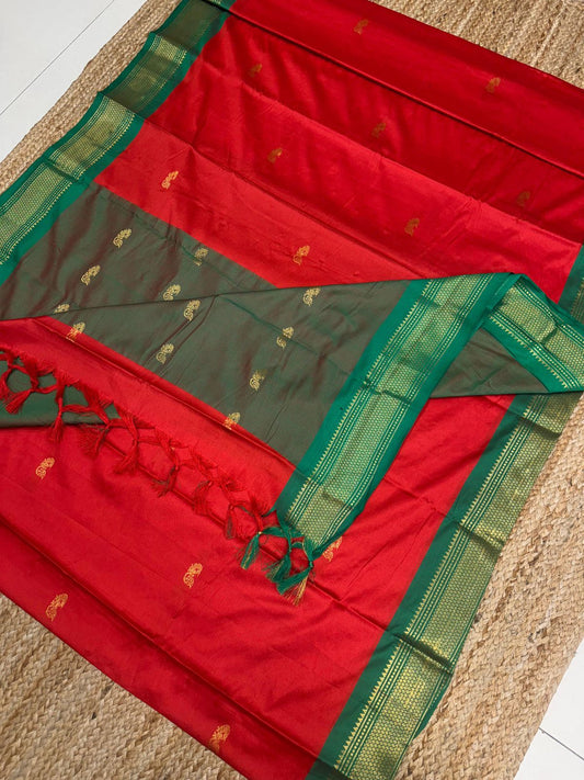 Cotton Silk Sarees with Jacquard Borders – 50 AED