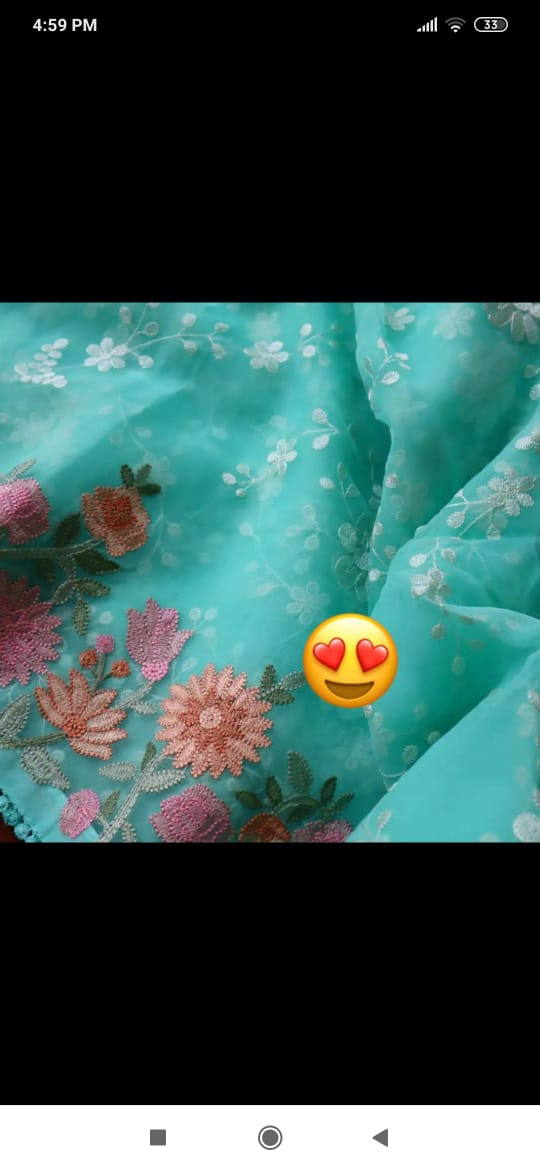Organza Saree with Aari Embroidered Floral Work