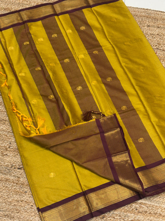 Cotton Silk Sarees with Jacquard Borders – 50 AED